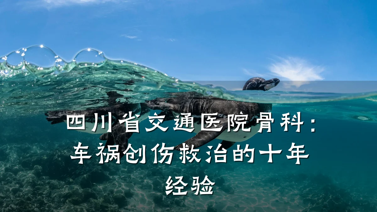 四川省交通医院骨科：车祸创伤救治的十年经验