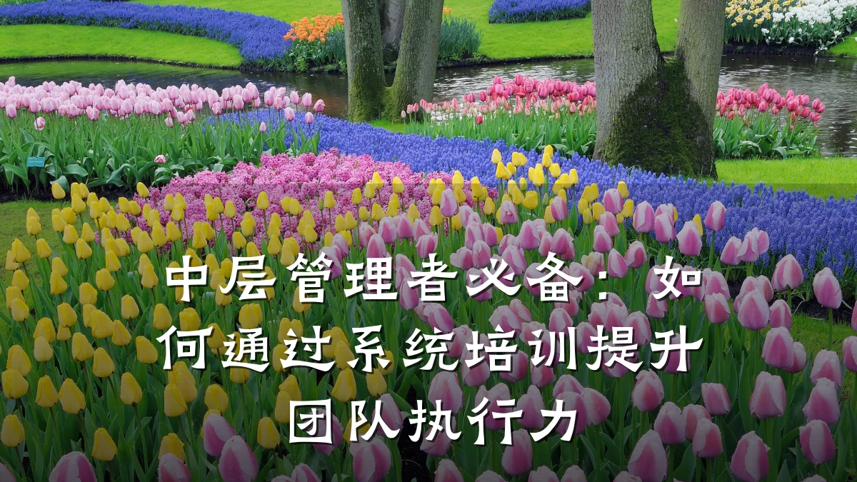中层管理者必备:如何通过系统培训提升团队执行力
