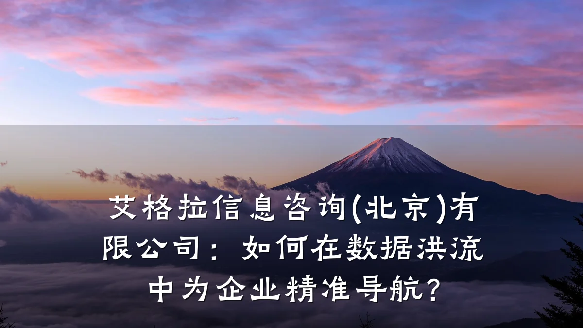 艾格拉信息咨询(北京)有限公司：如何在数据洪流中为企业精准导航？