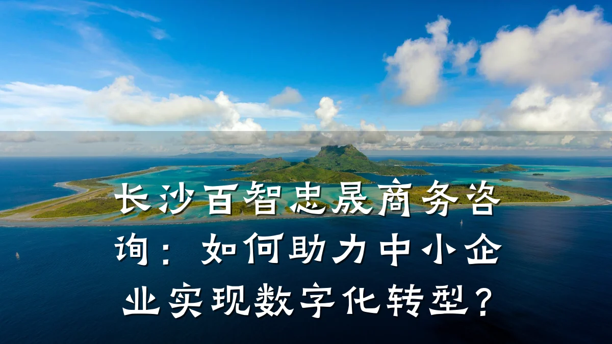长沙百智忠晟商务咨询：如何助力中小企业实现数字化转型？