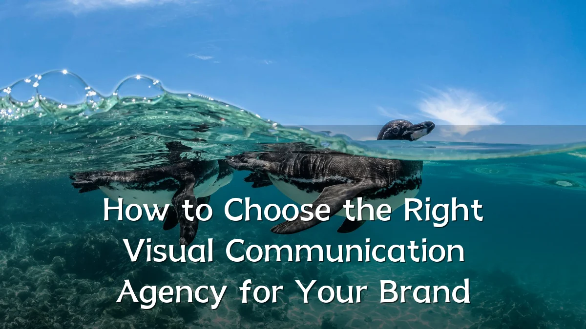 How to Choose the Right Visual Communication Agency for Your Brand