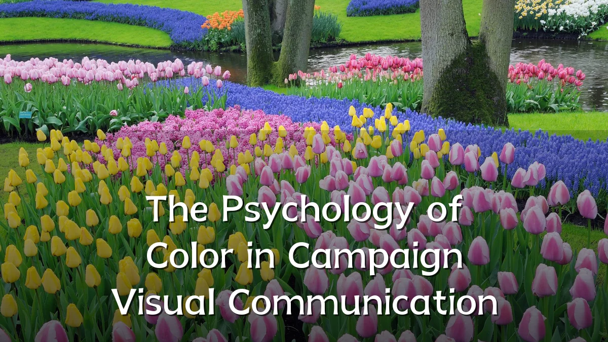 The Psychology of Color in Campaign Visual Communication