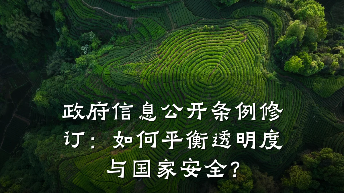 政府信息公开条例修订:如何平衡透明度与国家安全?