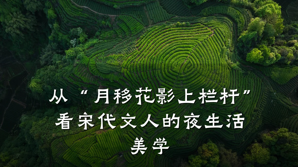 从“月移花影上栏杆”看宋代文人的夜生活美学