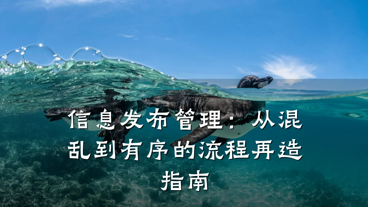 信息发布管理:从混乱到有序的流程再造指南
