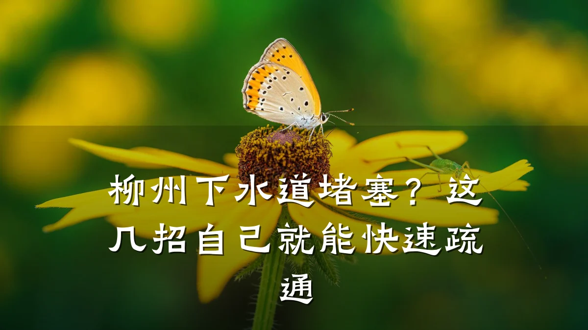 柳州下水道堵塞？这几招自己就能快速疏通