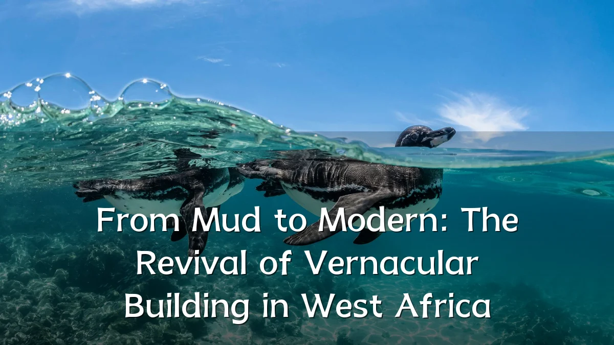 From Mud to Modern: The Revival of Vernacular Building in West Africa
