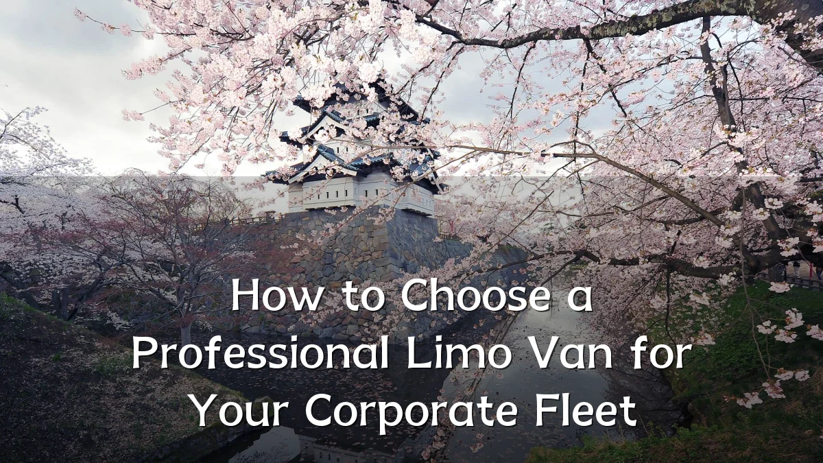 How to Choose a Professional Limo Van for Your Corporate Fleet