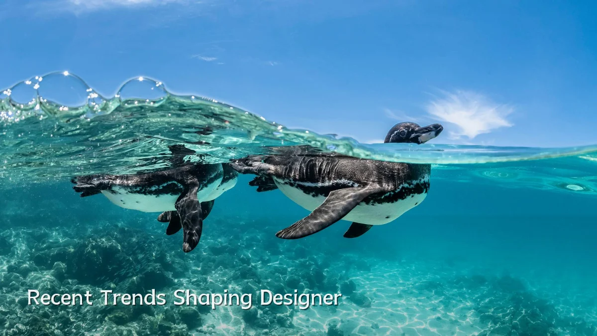 Recent Trends Shaping Designer