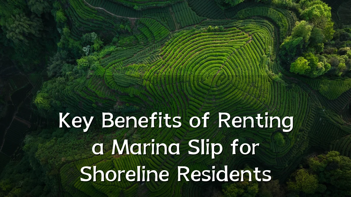 Key Benefits of Renting a Marina Slip for Shoreline Residents