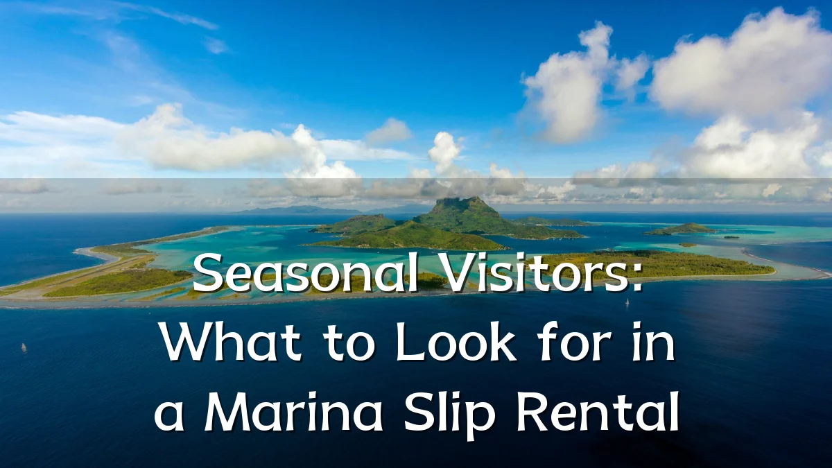 Seasonal Visitors: What to Look for in a Marina Slip Rental