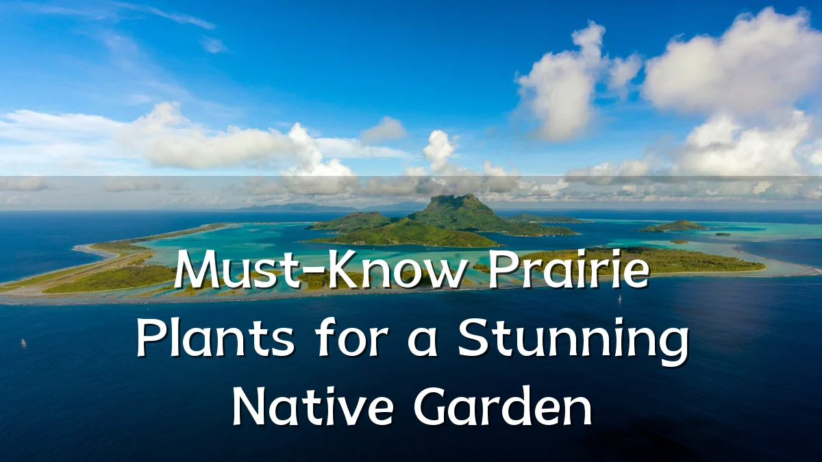 Must-Know Prairie Plants for a Stunning Native Garden