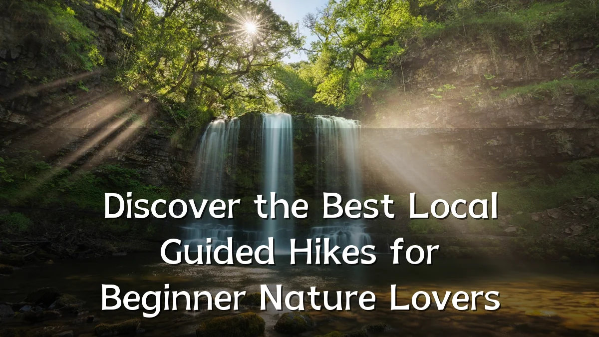 Discover the Best Local Guided Hikes for Beginner Nature Lovers