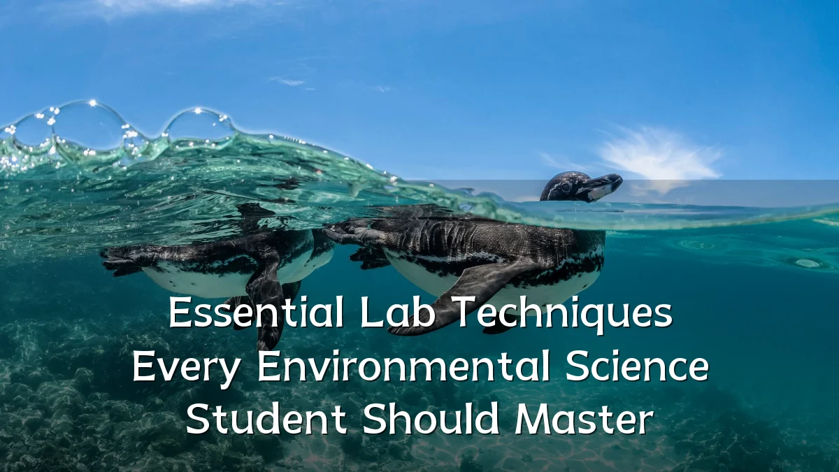 Essential Lab Techniques Every Environmental Science Student Should Master