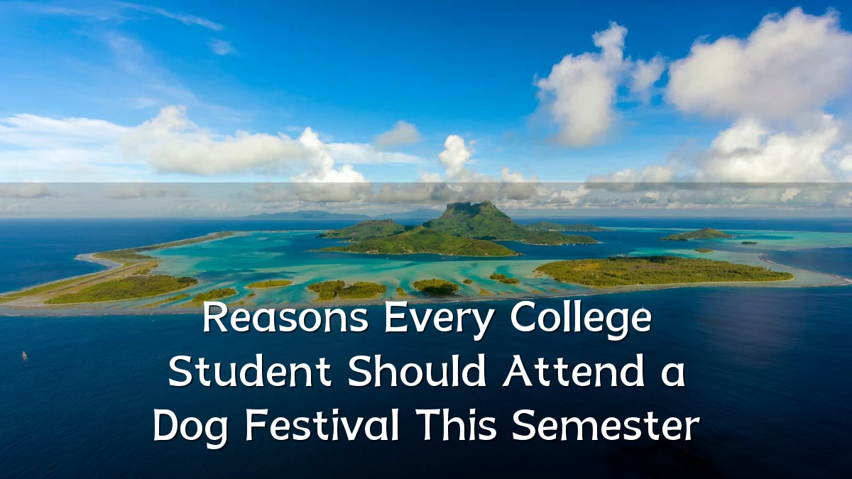 Reasons Every College Student Should Attend a Dog Festival This Semester