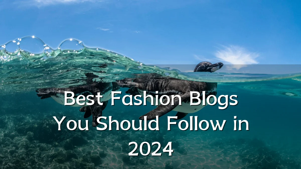 Best Fashion Blogs You Should Follow in 2024
