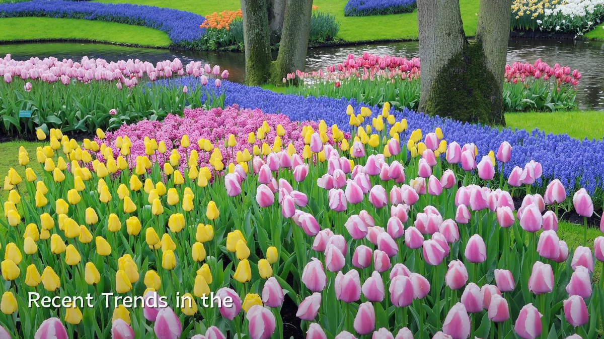 Recent Trends in the