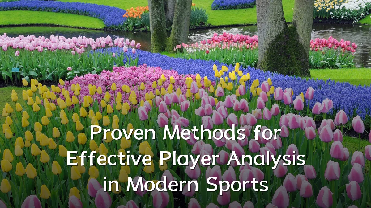 Proven Methods for Effective Player Analysis in Modern Sports