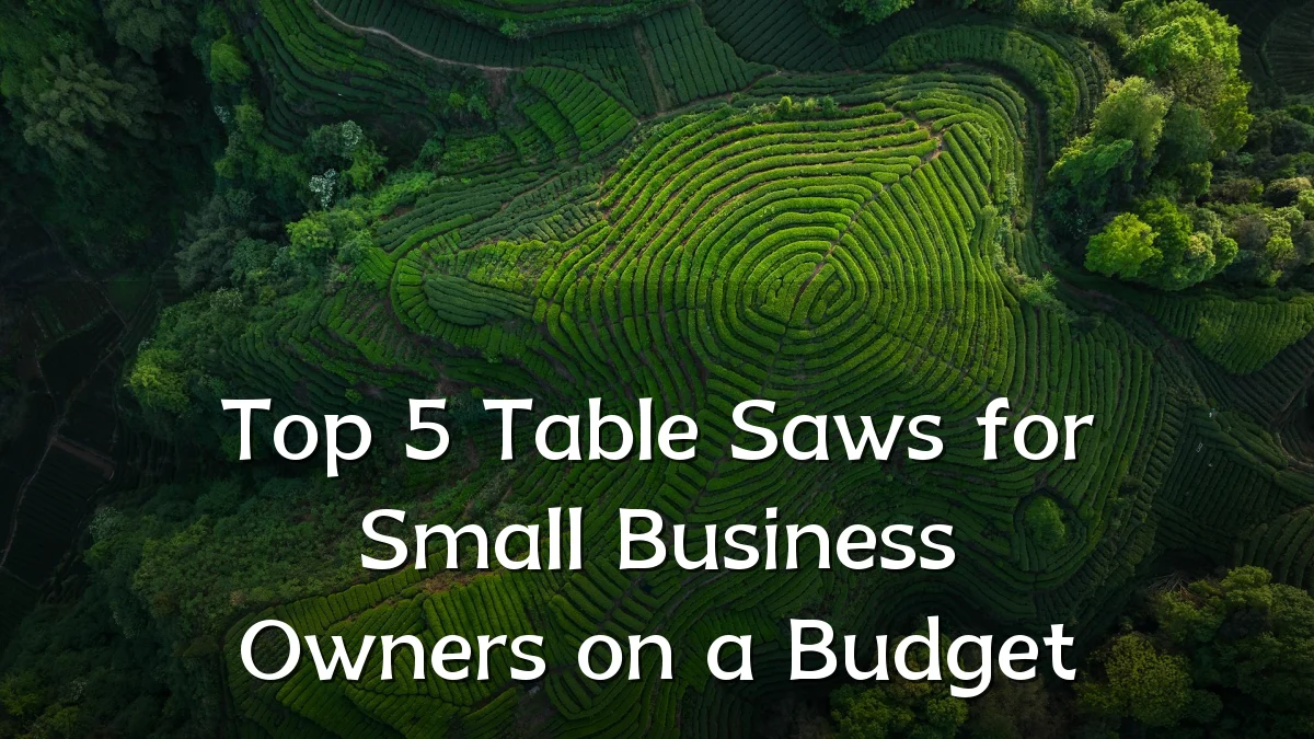Top 5 Table Saws for Small Business Owners on a Budget