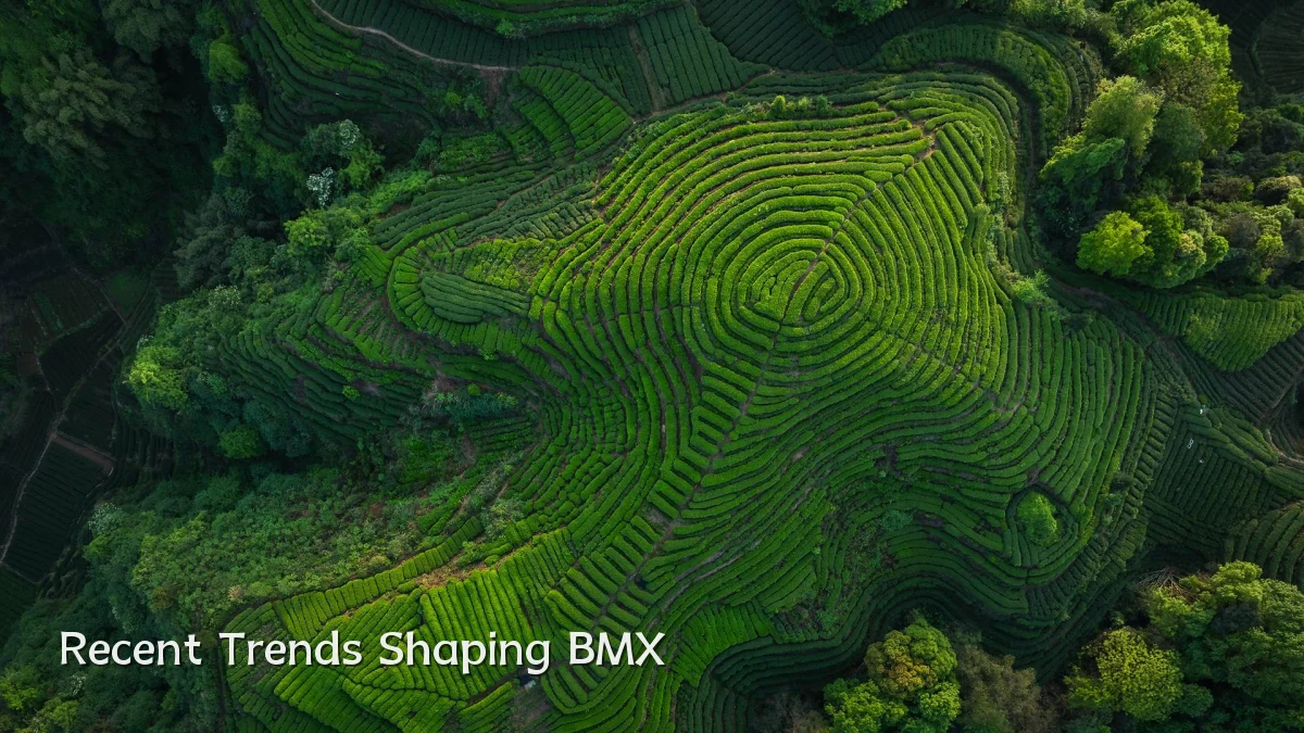 Recent Trends Shaping BMX