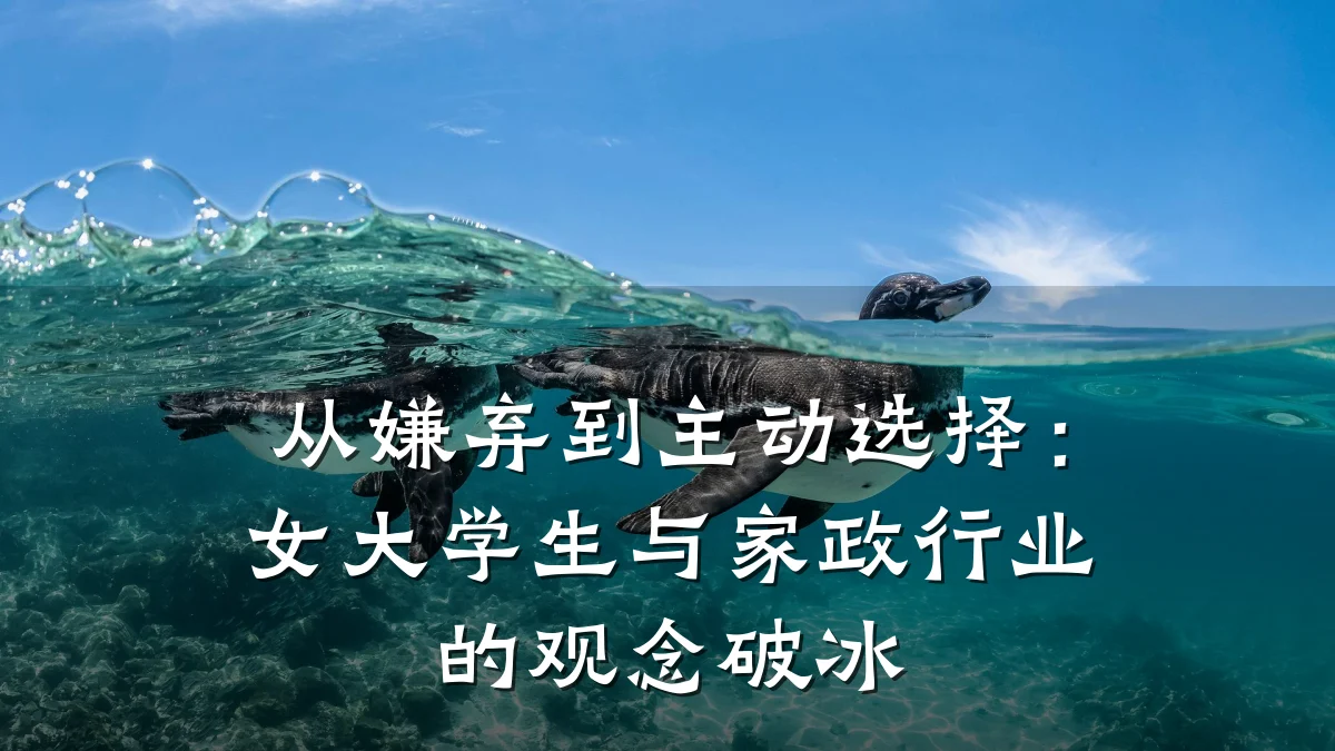 从嫌弃到主动选择：女大学生与家政行业的观念破冰