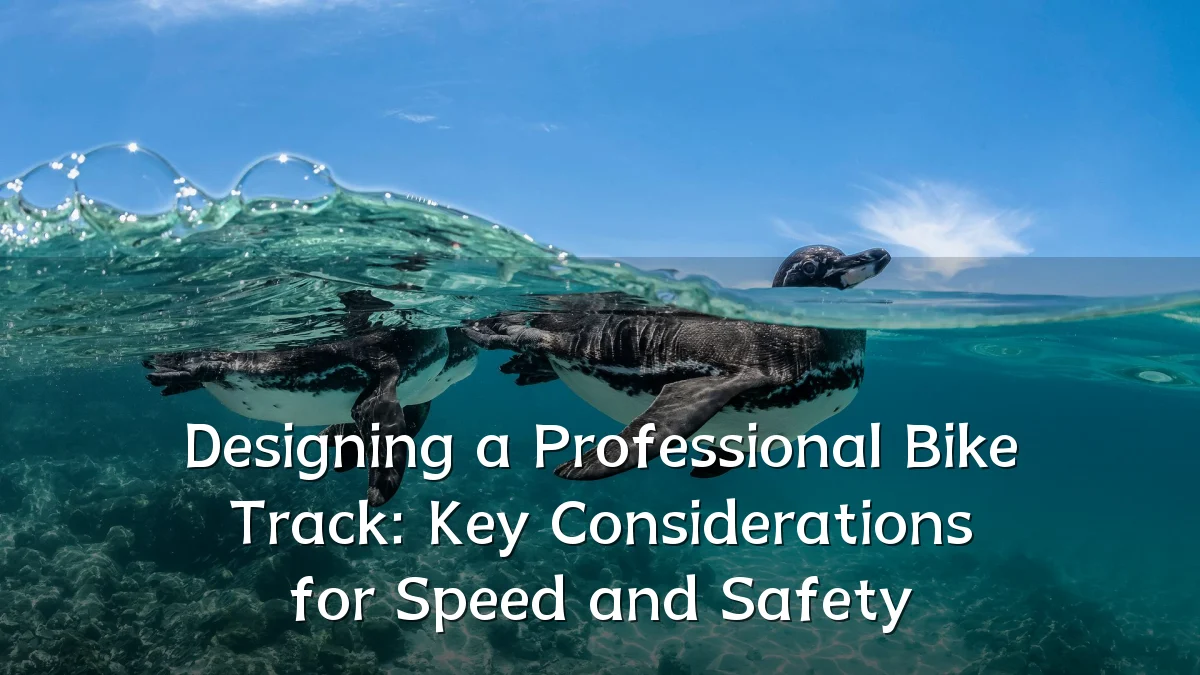 Designing a Professional Bike Track: Key Considerations for Speed and Safety