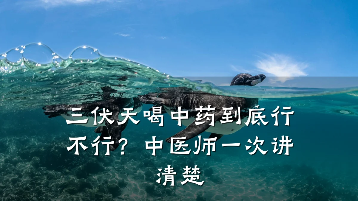 三伏天喝中药到底行不行?中医师一次讲清楚