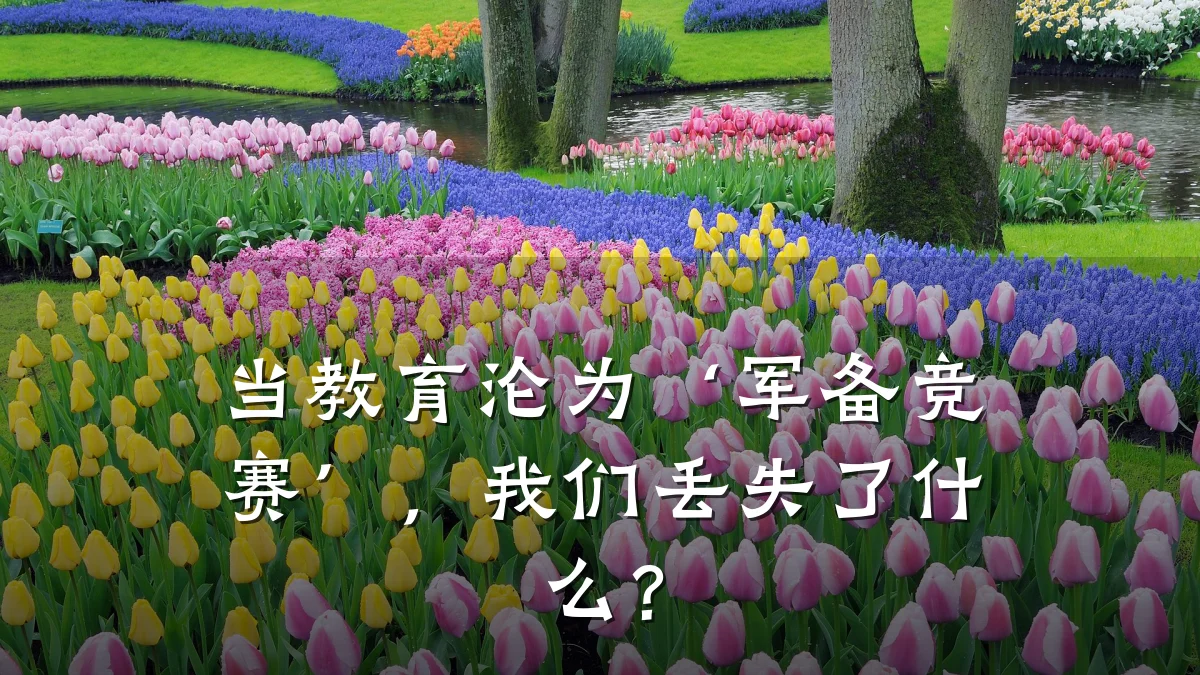 当教育沦为‘军备竞赛’，我们丢失了什么？