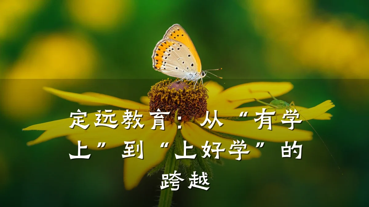 定远教育：从“有学上”到“上好学”的跨越