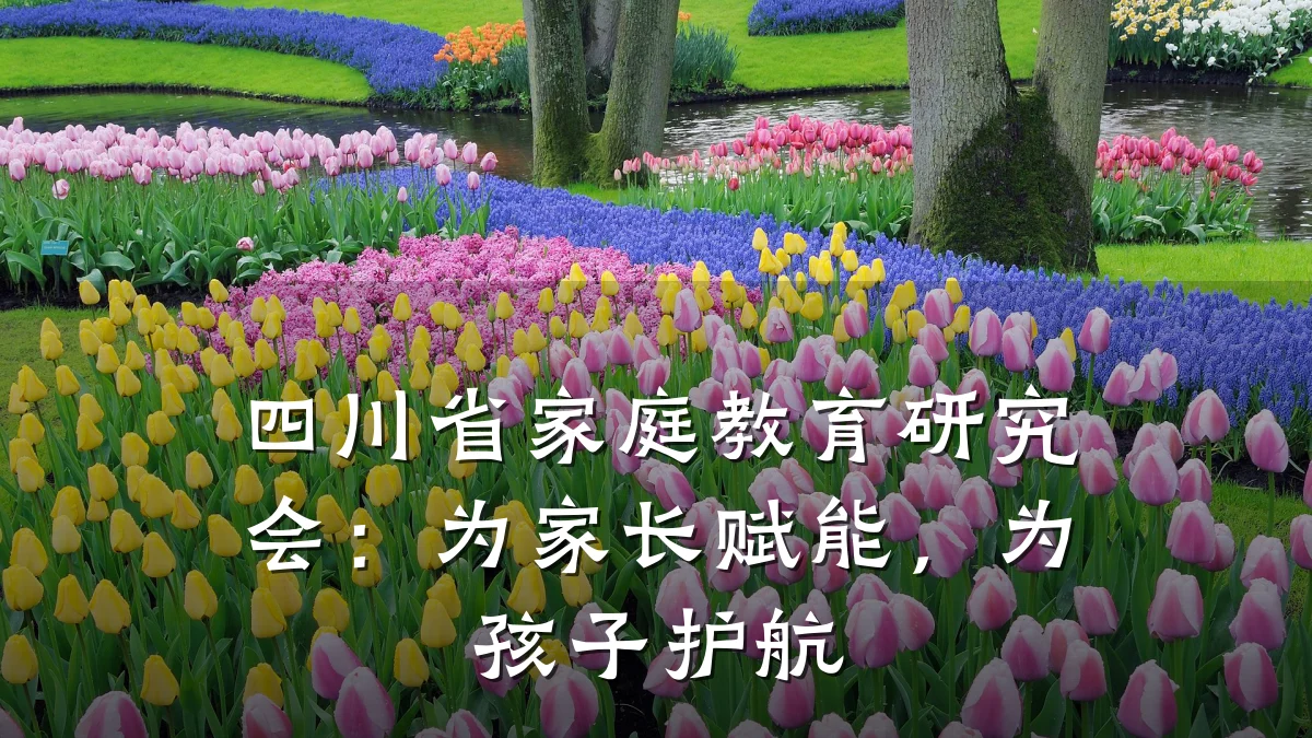 四川省家庭教育研究会：为家长赋能，为孩子护航