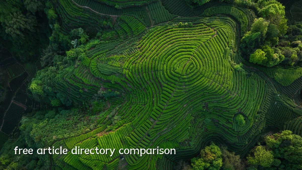 free article directory comparison