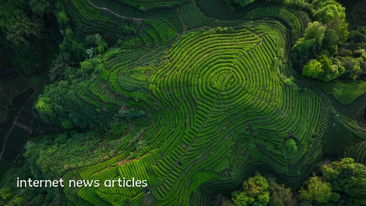 internet news articles
