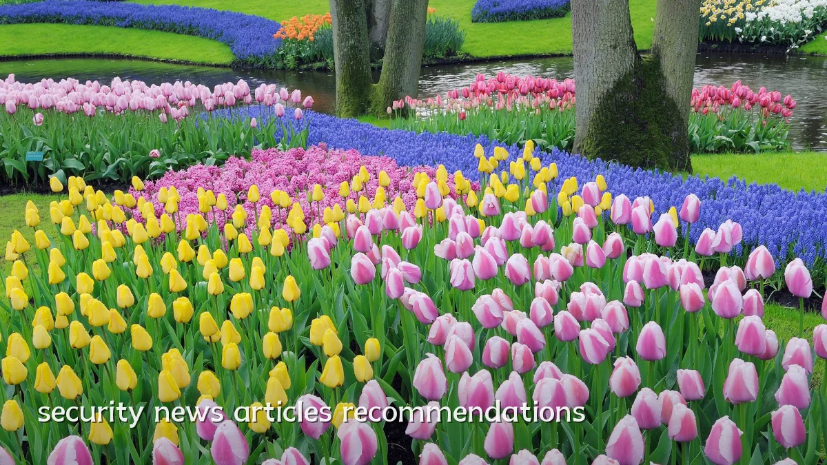 security news articles recommendations