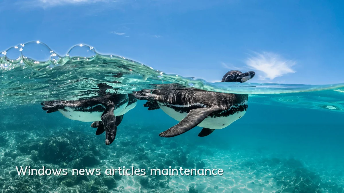 Windows news articles maintenance