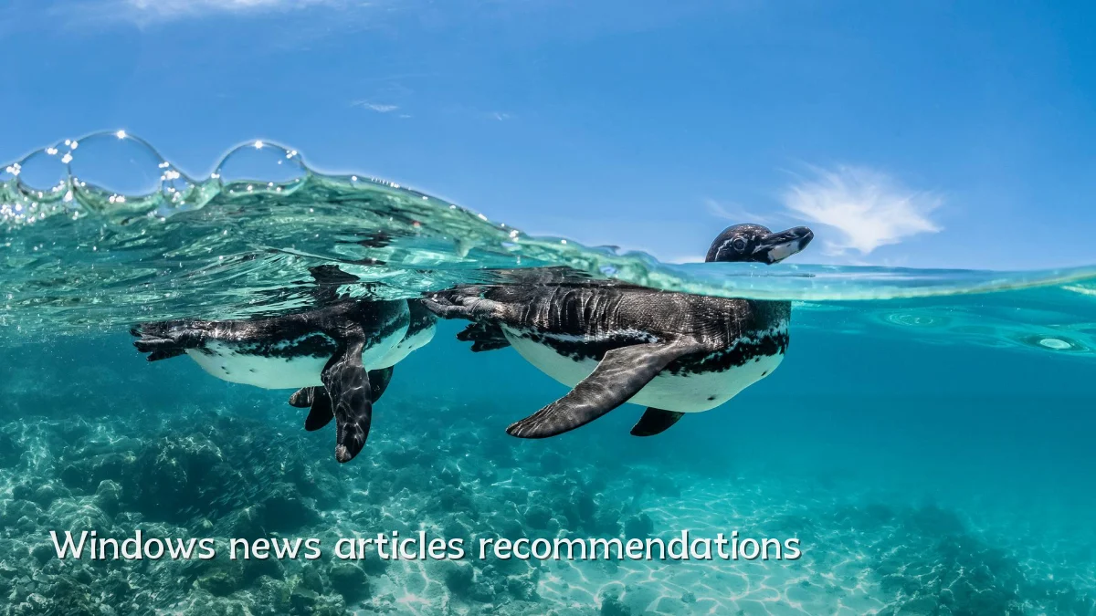 Windows news articles recommendations