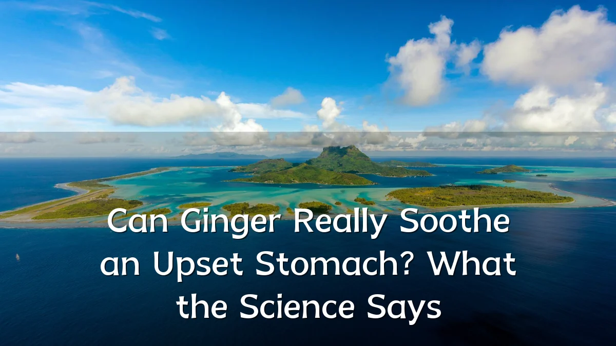 Can Ginger Really Soothe an Upset Stomach? What the Science Says