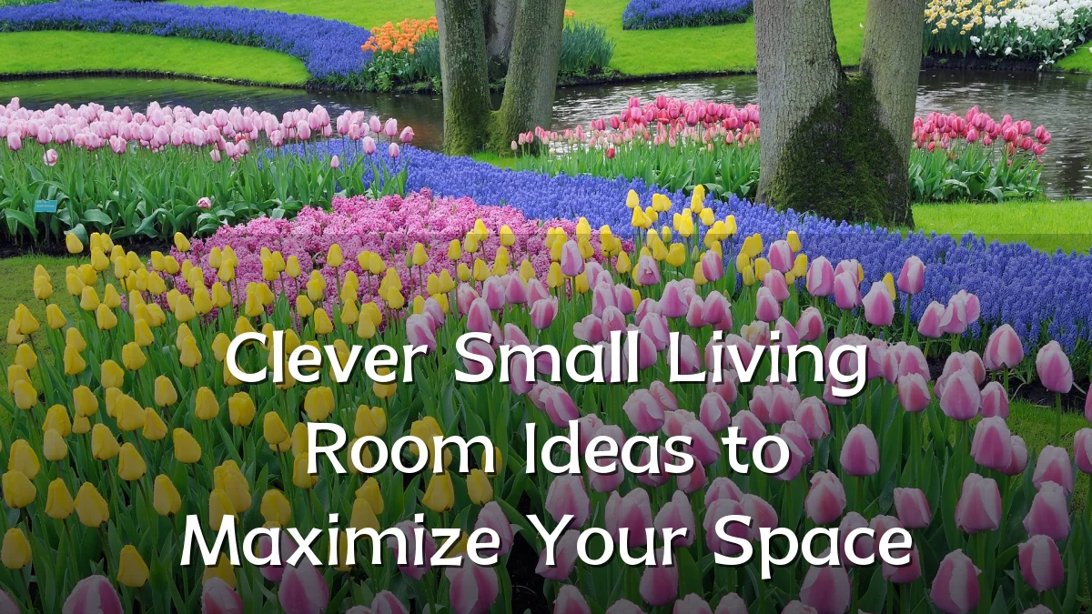 Clever Small Living Room Ideas to Maximize Your Space