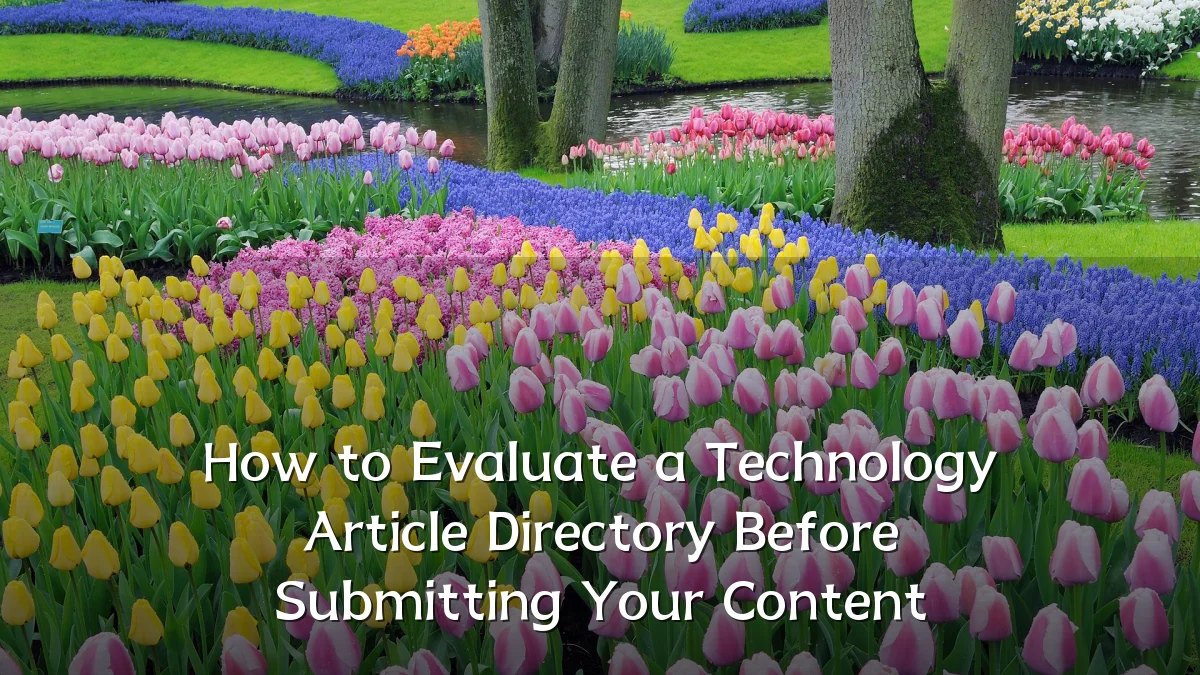 How to Evaluate a Technology Article Directory Before Submitting Your Content