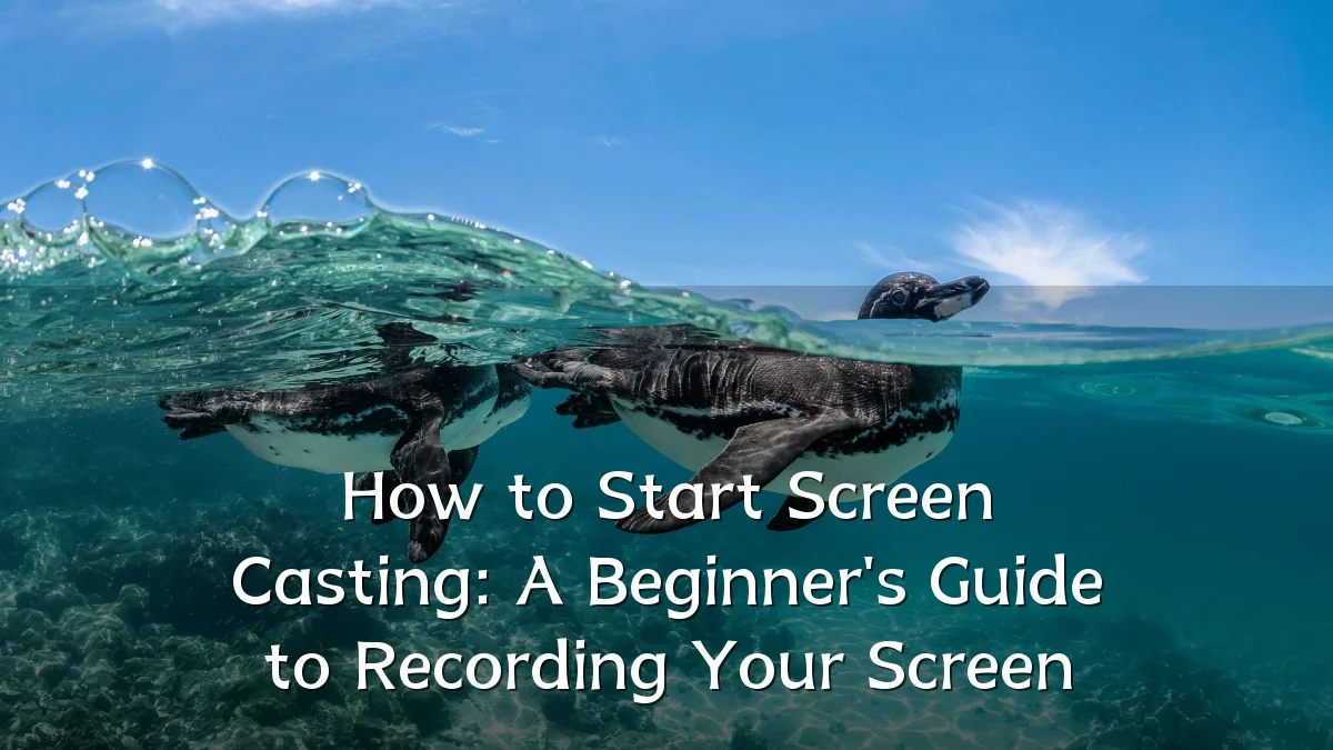 How to Start Screen Casting: A Beginner's Guide to Recording Your Screen