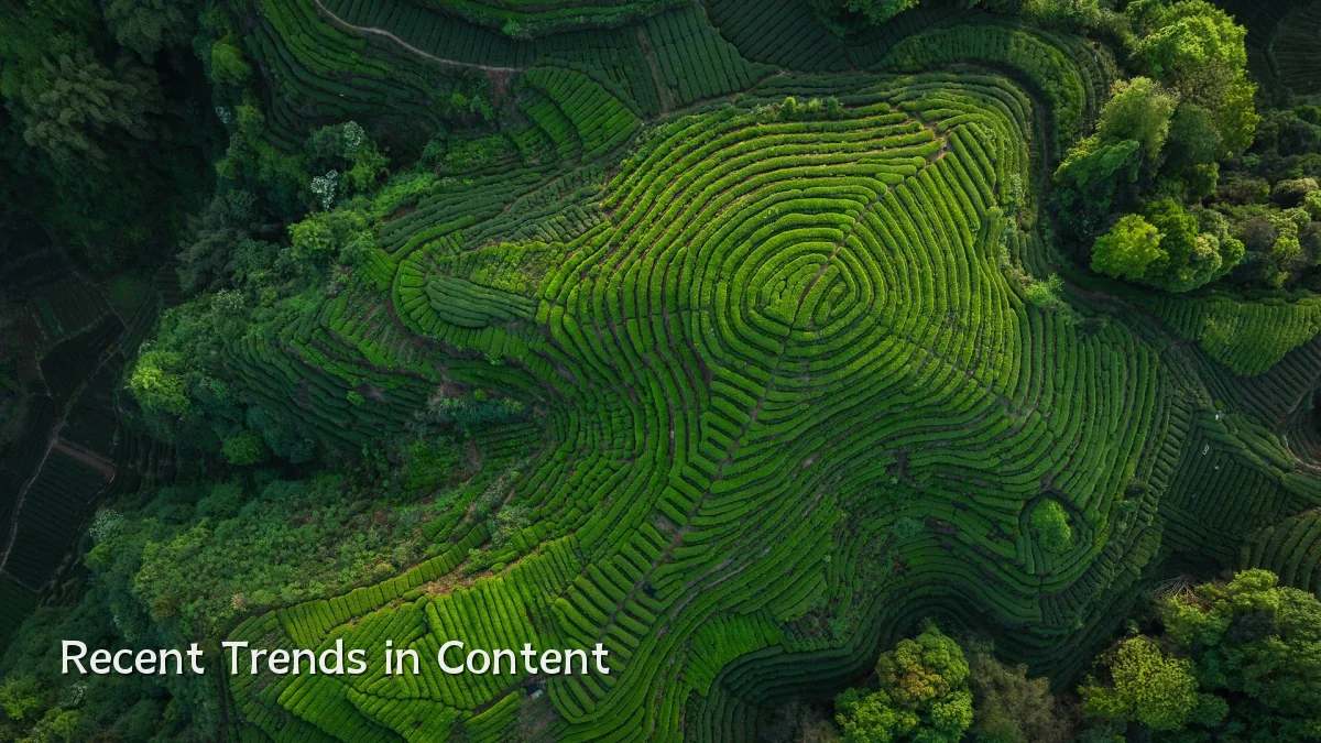 Recent Trends in Content
