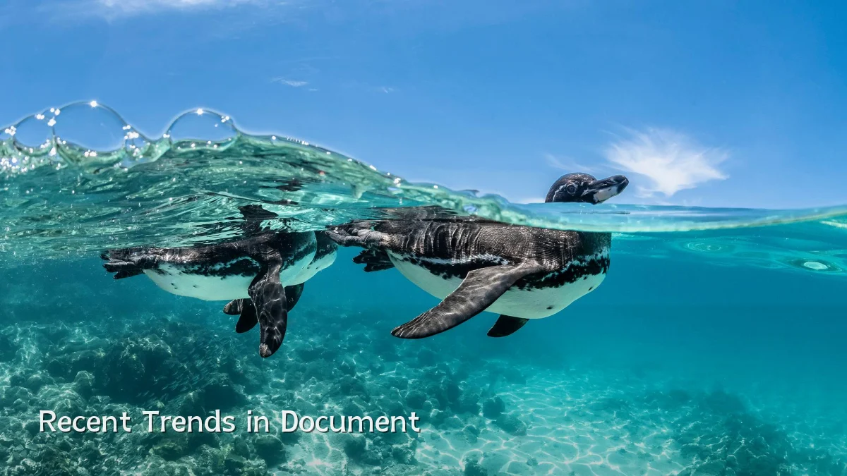 Recent Trends in Document
