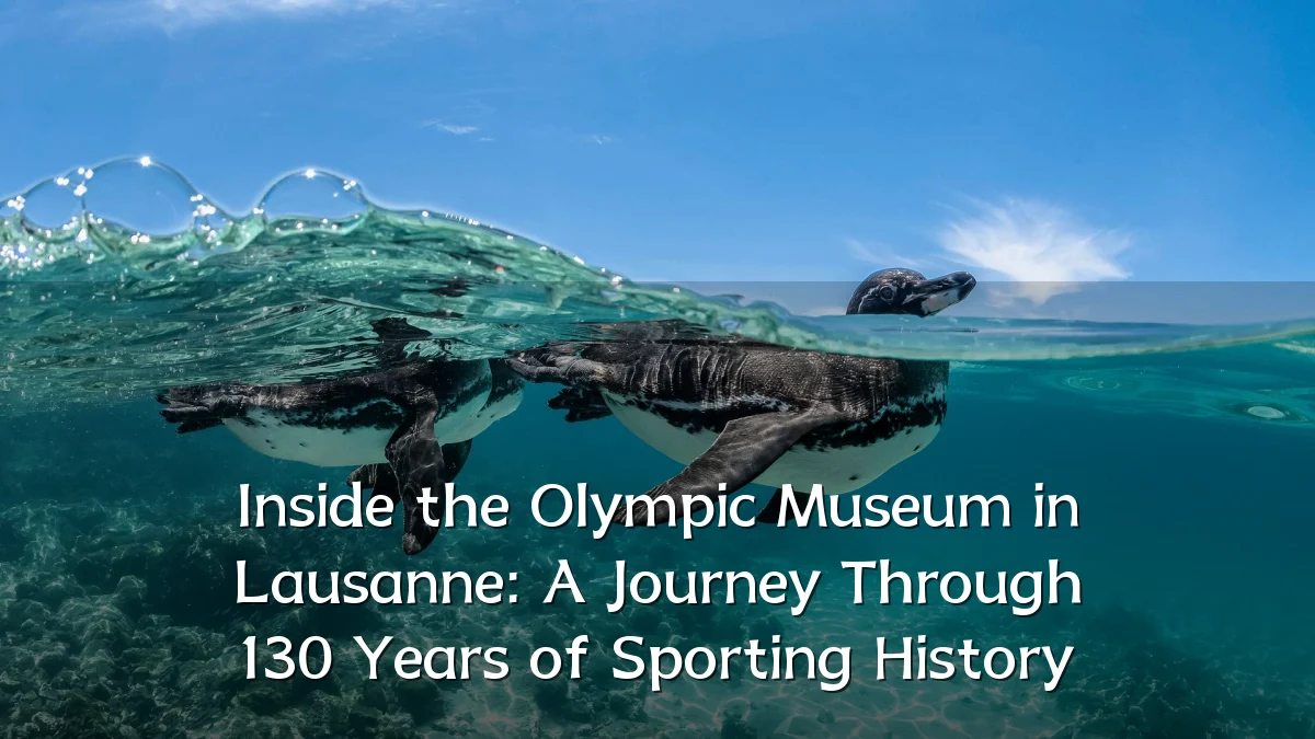 Inside the Olympic Museum in Lausanne: A Journey Through 130 Years of Sporting History
