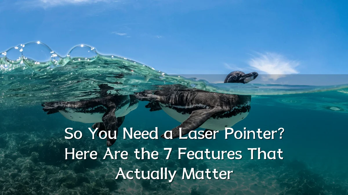 So You Need a Laser Pointer? Here Are the 7 Features That Actually Matter
