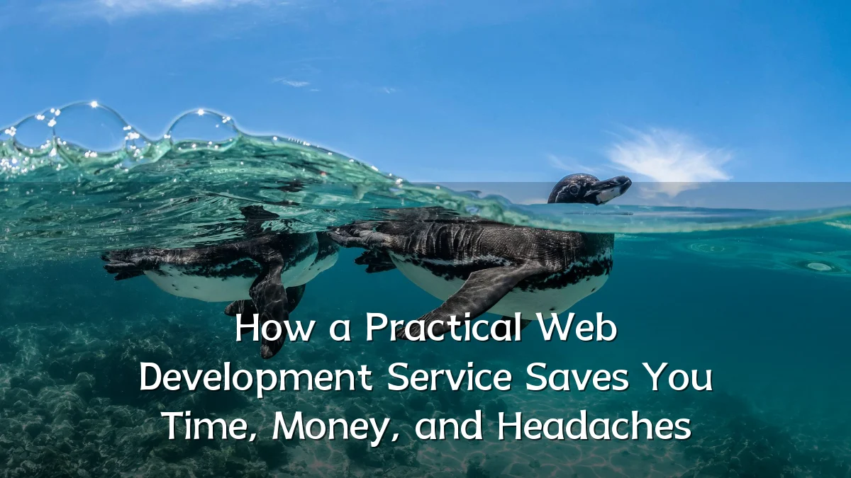 How a Practical Web Development Service Saves You Time, Money, and Headaches