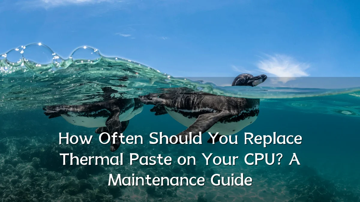 How Often Should You Replace Thermal Paste on Your CPU? A Maintenance Guide