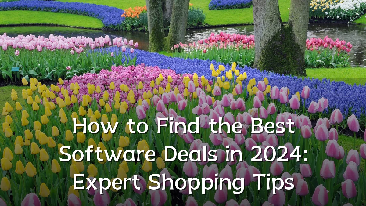 How to Find the Best Software Deals in 2024: Expert Shopping Tips