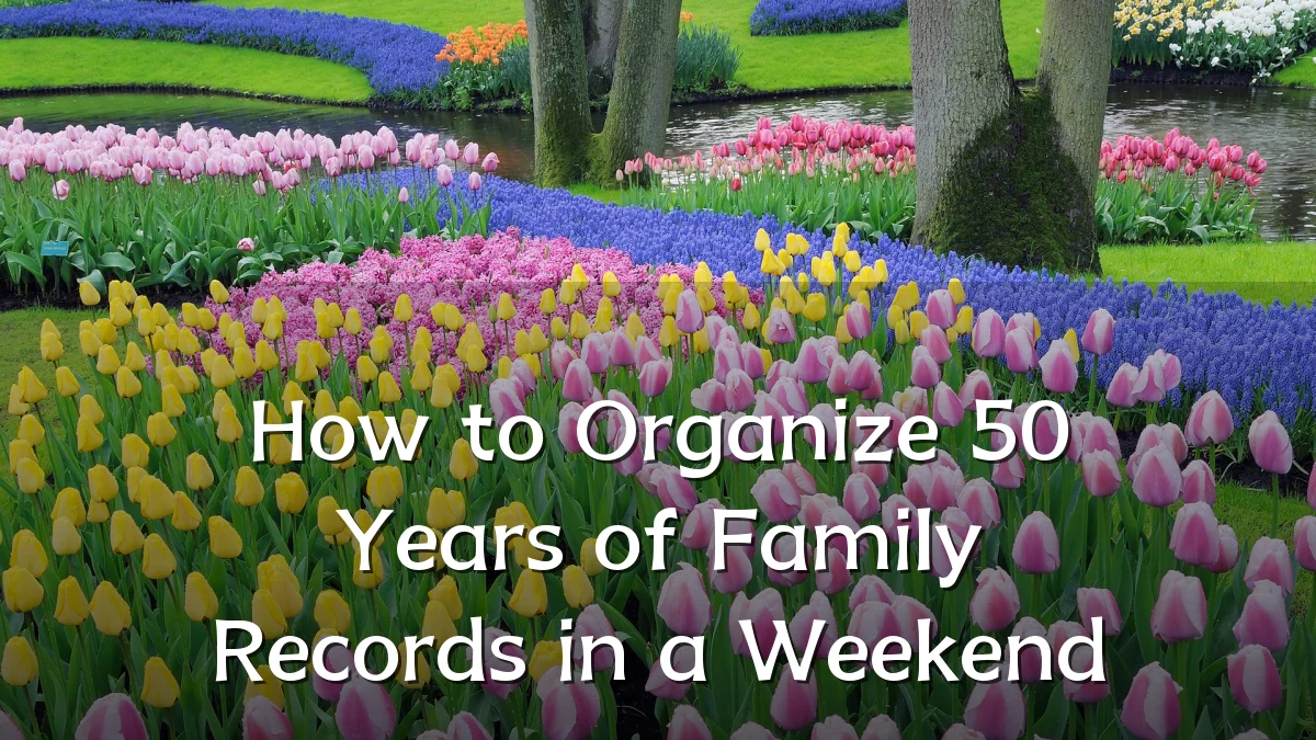 How to Organize 50 Years of Family Records in a Weekend
