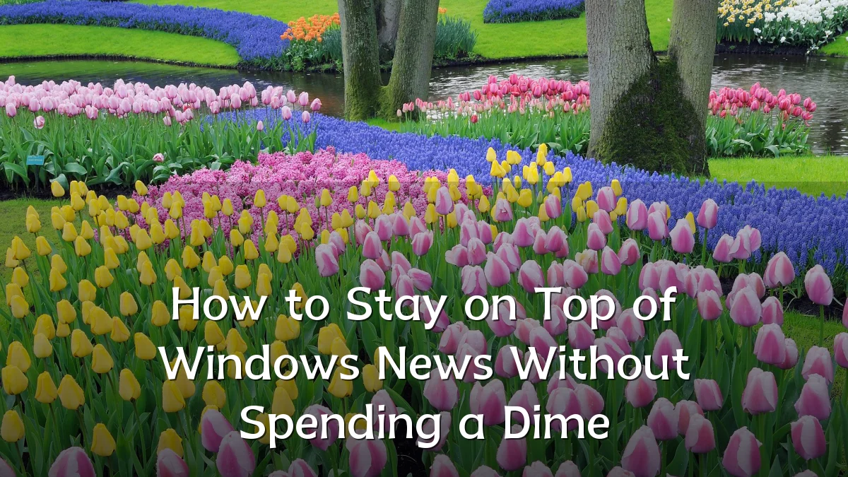 How to Stay on Top of Windows News Without Spending a Dime