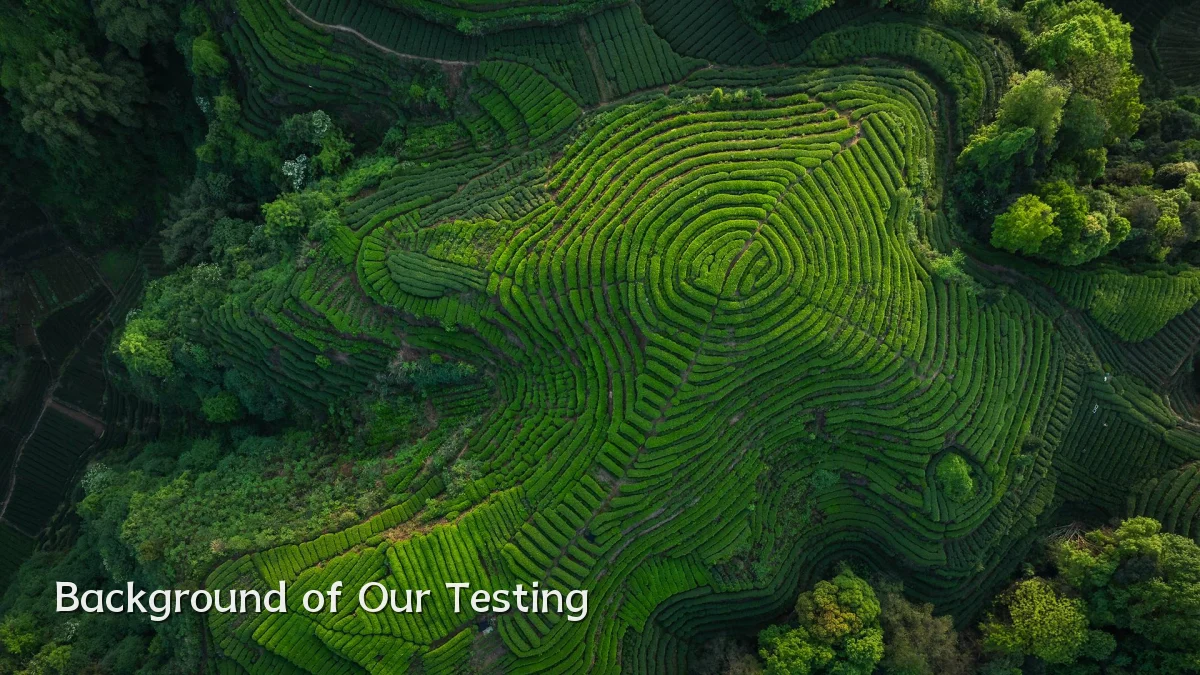 Background of Our Testing