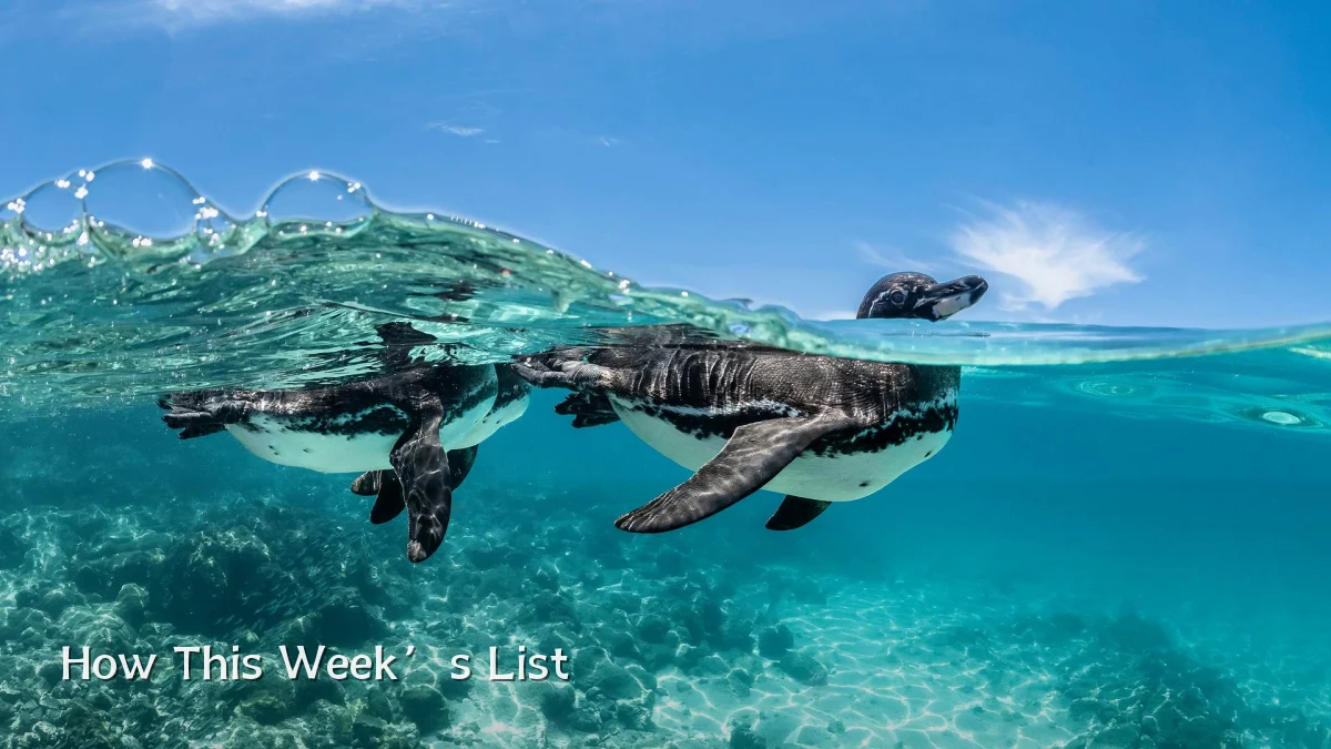 How This Week’s List